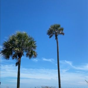 Meet your Posher, Sophia